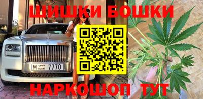 гидра Славгород