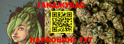 гидра Славгород
